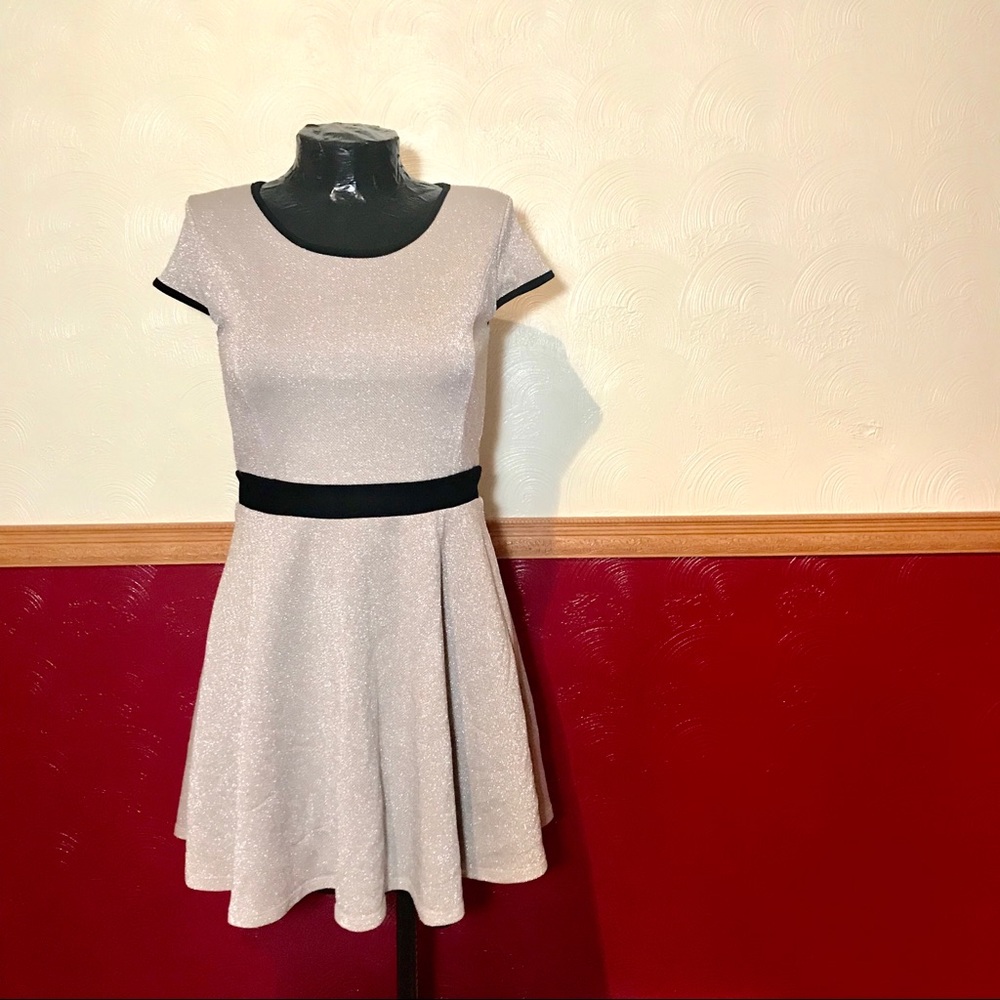 ✨Silver Dress